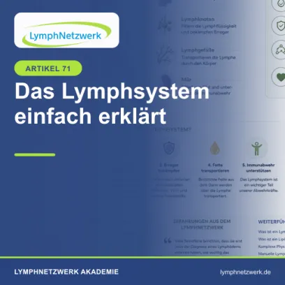 Das Lymphsystem einfach erklärt – Aufbau, Aufgaben und Funktion